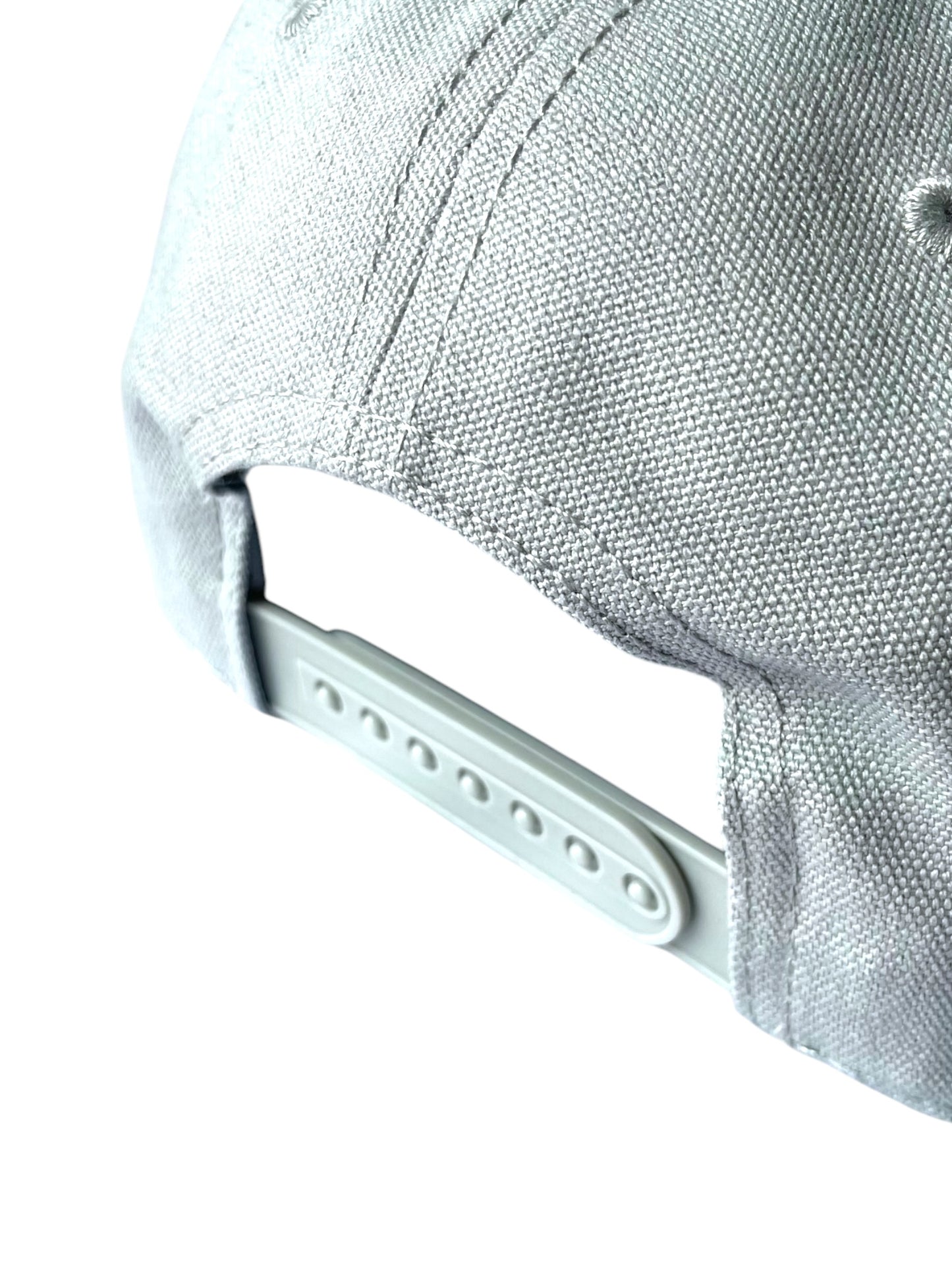 TBP "99 Problems" Canvas Cap