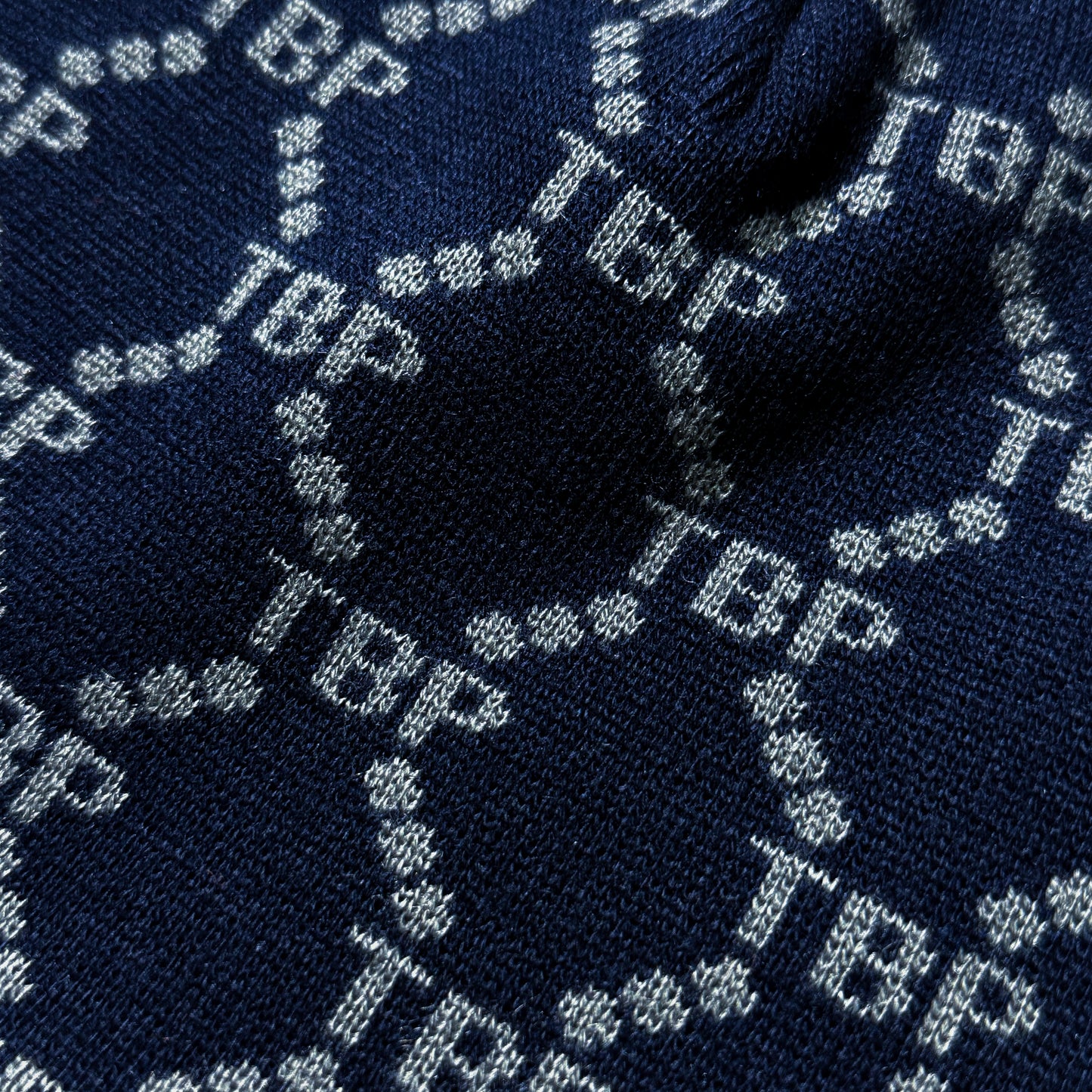 The Blueprint™︎ Monogram Single Beanie