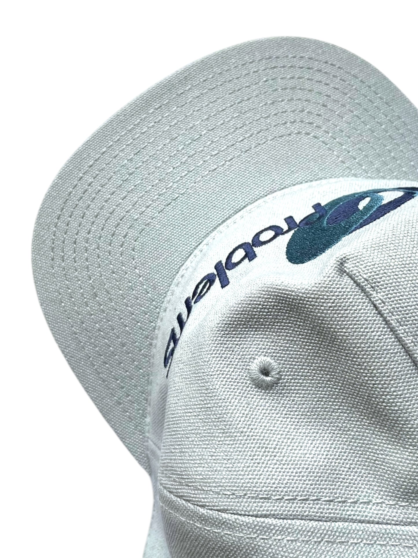 TBP "99 Problems" Canvas Cap