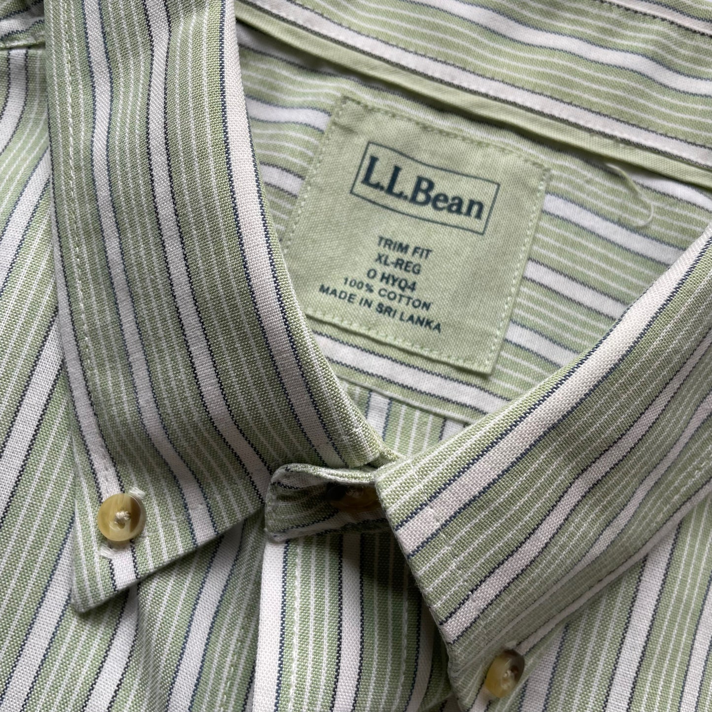 L.L. Bean Stripe BD S/SL Shirt