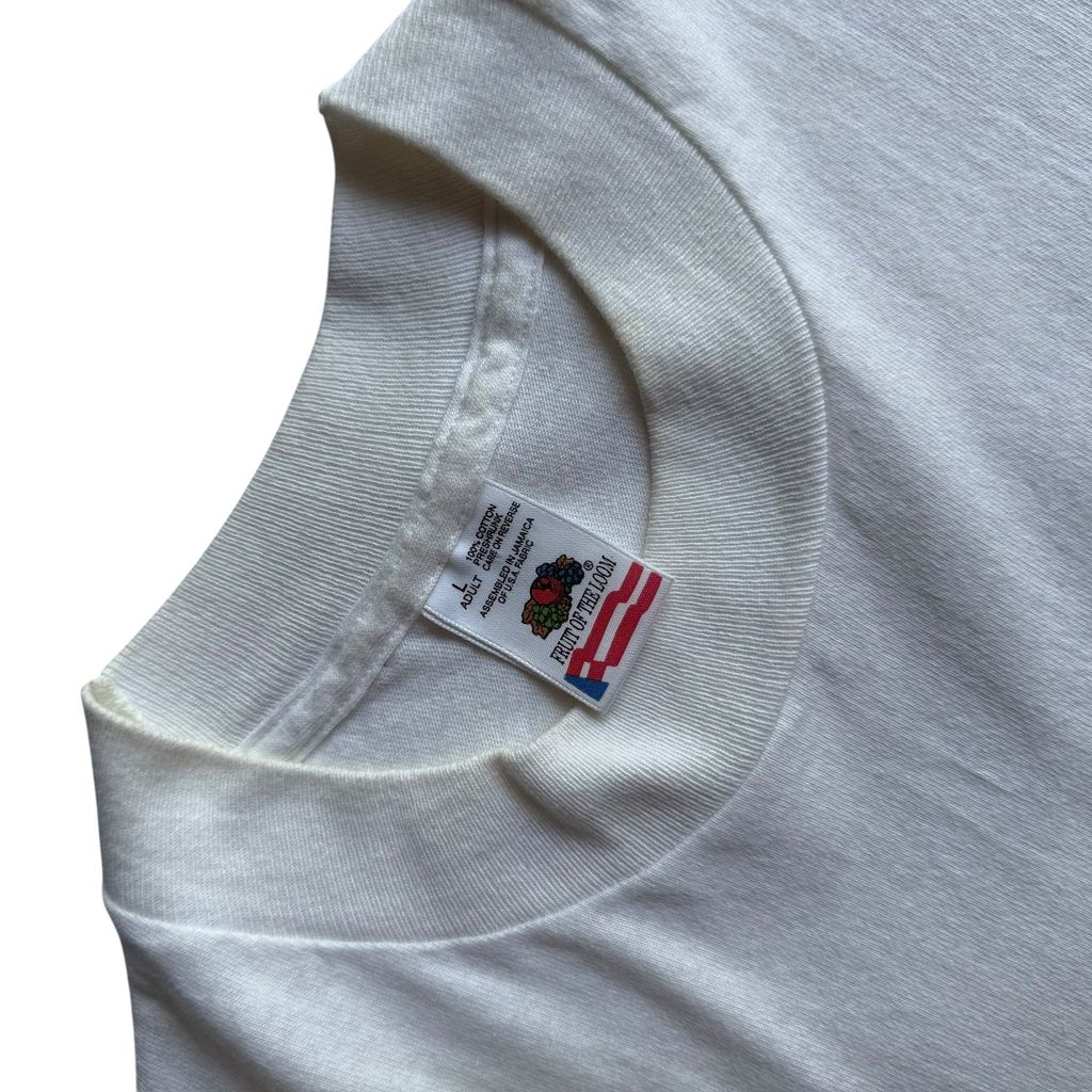 【USED】FRUIT OF THE ROOM 1996 "Basketball Hall of Fame" S/SL TEE 半袖Tシャツ Lサイズ シングルステッチ