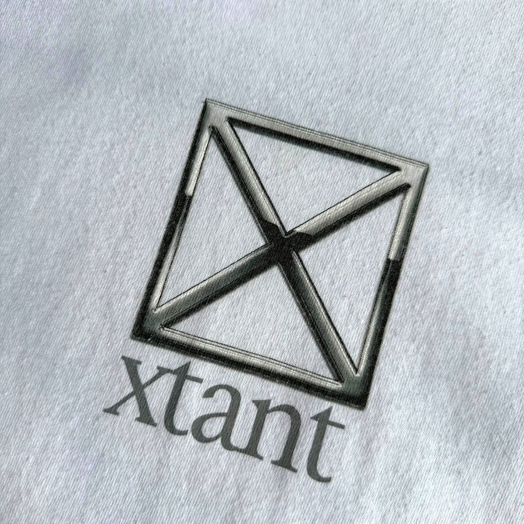 【USED】xtant エクスタント GILDAN ギルダン S/SL Tee 企業ロゴ 白 半袖Tシャツ バックプリント XLサイズ