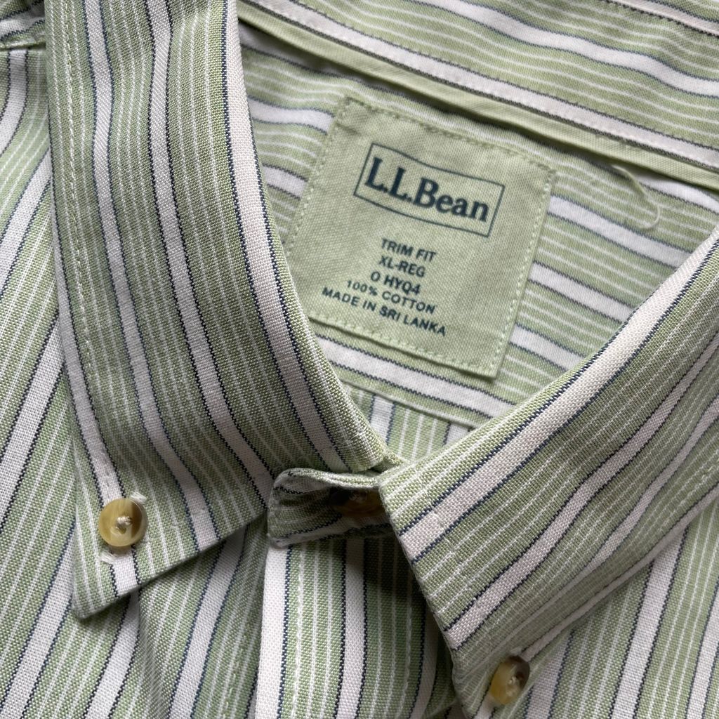 L.L. Bean Stripe BD S/SL Shirt